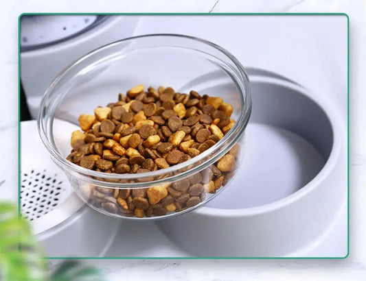 Portable Unplugged Automatic Pet Water Feeder β Mobile Water Dispenser for Cats and Dogs