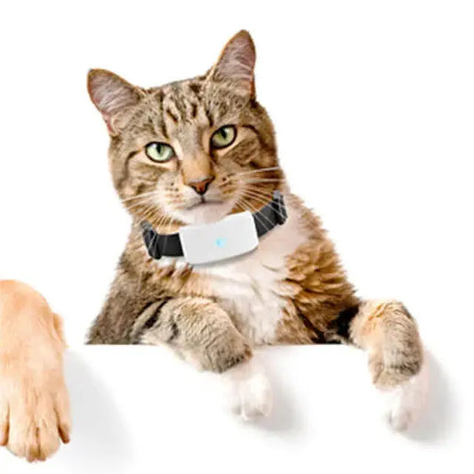 New Pet GPS Tracking Locator β Real-Time Location Tracker for Dogs and Cats with Safety Monitoring