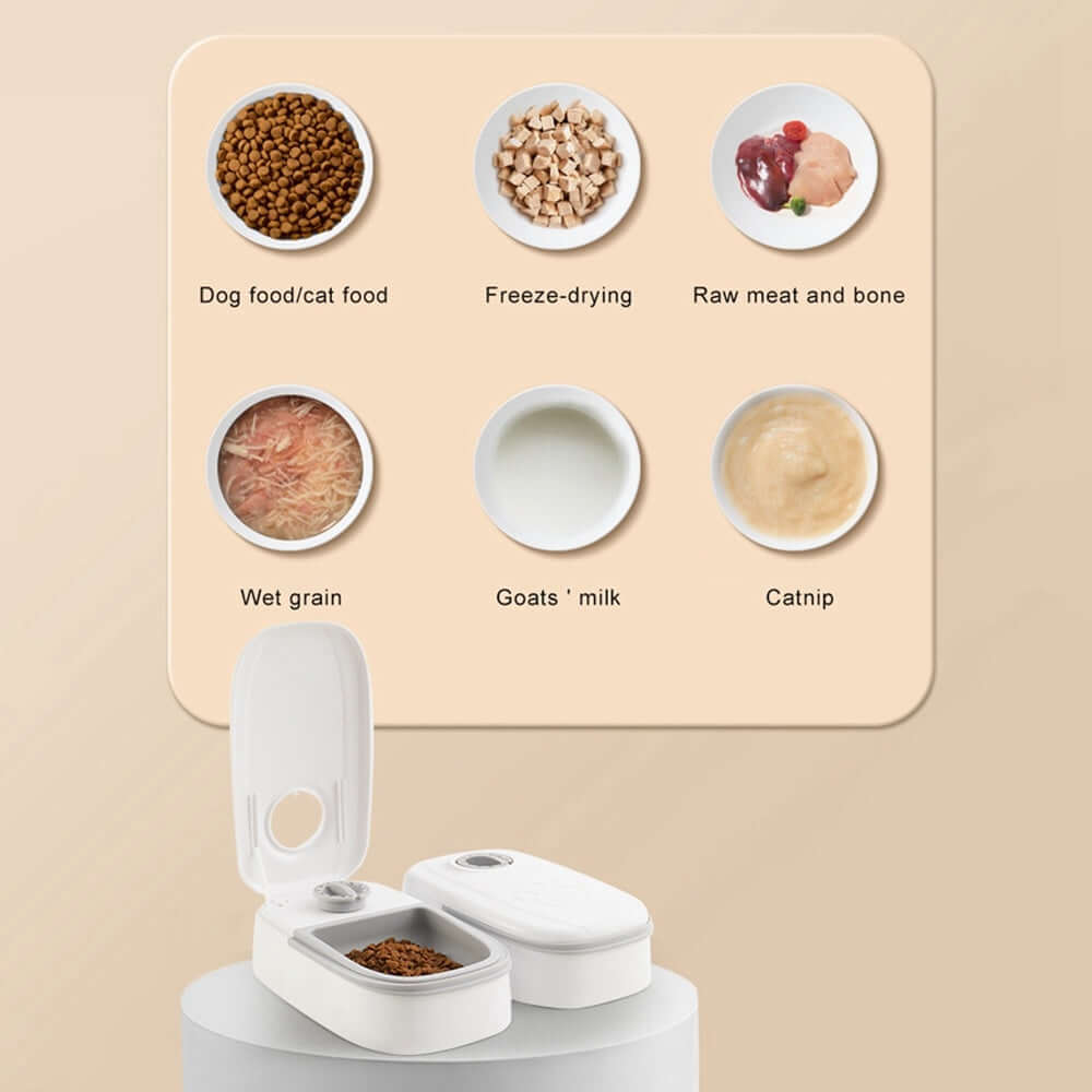 Automatic Smart Pet Feeder with Timer and Stainless Steel Bowl for Cats and Dogs – Food Dispenser Pet Feeding Supplies