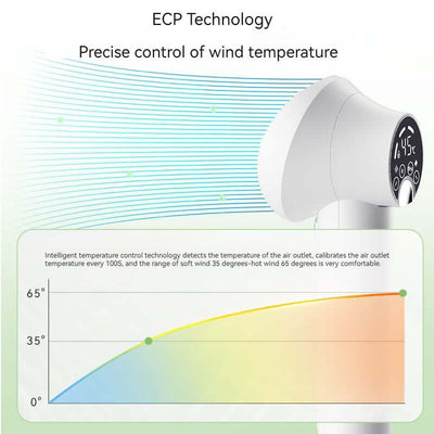 Diagram showing ECP technology for precise wind temperature control in pet hair dryers, including temperature range.