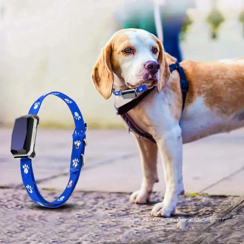 GPS Pet Positioning Collar – Real-Time Tracker for Dogs and Cats with Anti-Lost and Location Monitoring Features