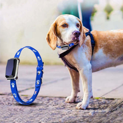 GPS Pet Positioning Collar – Real-Time Tracker for Dogs and Cats with Anti-Lost and Location Monitoring Features