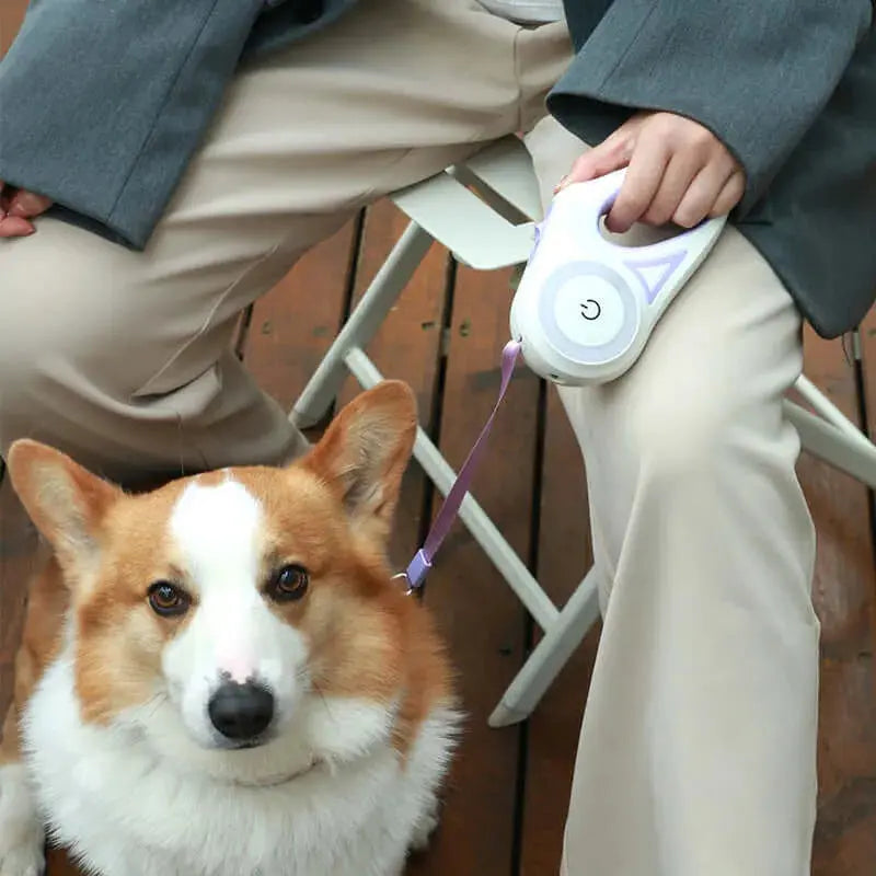 Retractable Dog Leash with Collar and Spotlight – Automatic Pet Traction Rope for Small and Medium Dogs