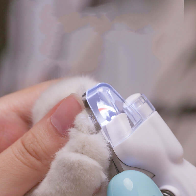 Person using LED pet nail clippers on a cat's paw with built-in light for safe trimming.