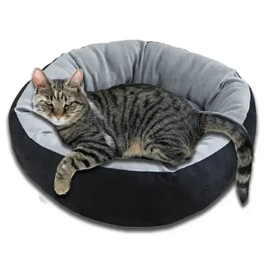 Nevytech adjustable pet carrier sling offers breathable comfort, secure support, and hands-free convenience—ideal for small dogs and cats.