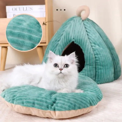 🐾 Pamper Your Pets!