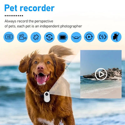 Happy dog wearing a pet camera, capturing outdoor adventures with scenic beach view.
