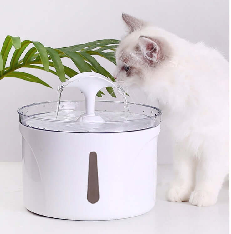 Pet Water Dispenser – Intelligent Automatic Circulating Filter Fountain for Cats and Dogs