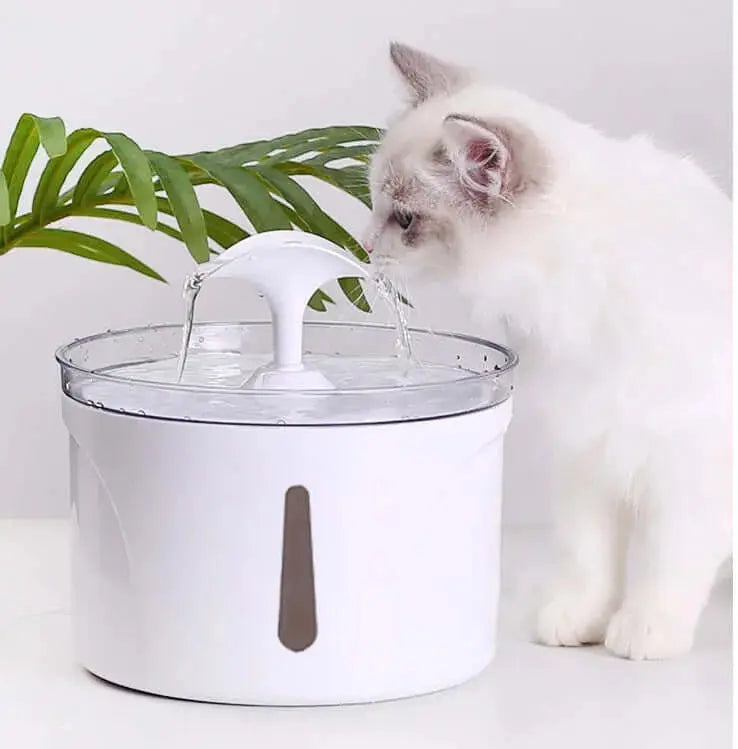 Pet Water Dispenser – Intelligent Automatic Circulating Filter Fountain for Cats and Dogs